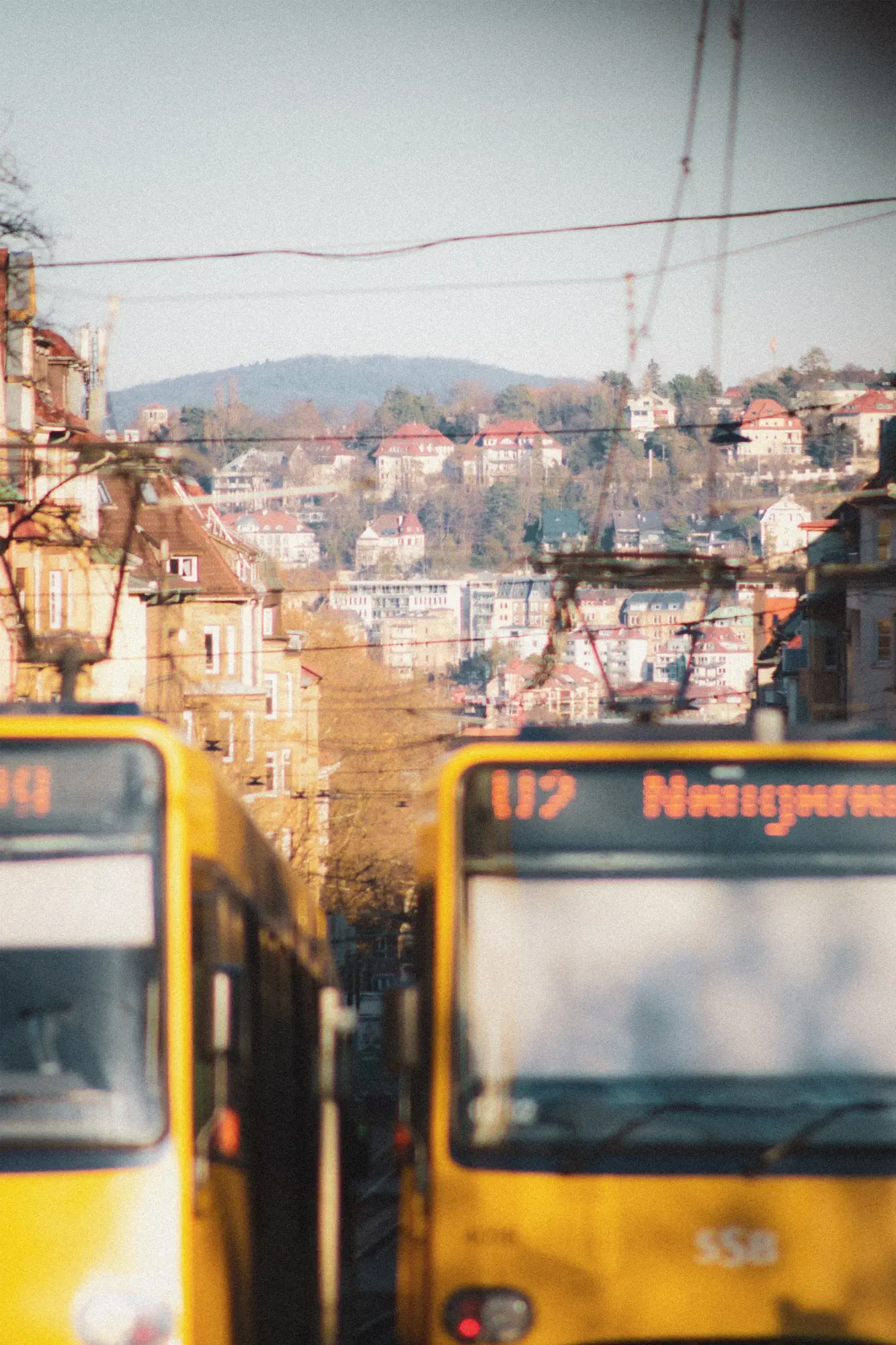 Gelbe Busse in einer Stadtstraße